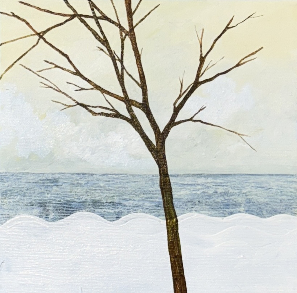 Signe Anne Bjerre